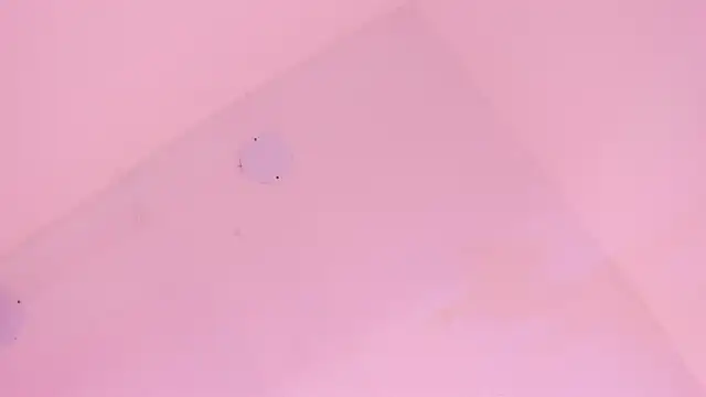 Snapshot of LoveQueen2 chatting on January 6, 2026, 11:47 am LoveQueen2 online show from January 6, 2026, 11:47 am