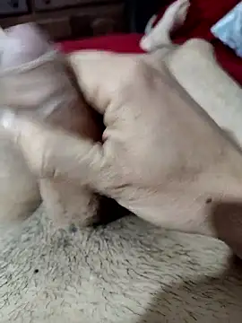 quierodarleche69 online show from October 31, 2025, 2:01 am