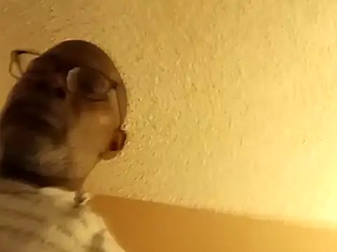 Blkstylion online show from February 23, 2026, 8:06 pm