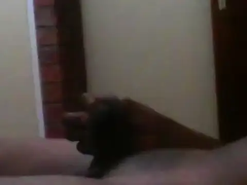 Snapshot of TheBanger0203_za chatting on February 3, 2025, 8:13 pm TheBanger0203 za online show from February 3, 2025, 8:13 pm