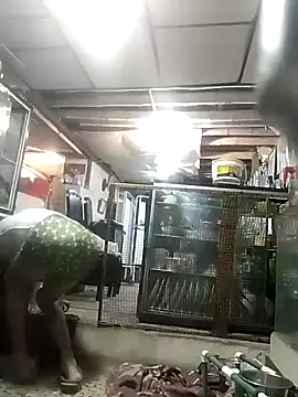 cristalzeus online show from December 15, 2025, 11:09 pm