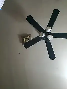 Hugebwc102 online show from November 23, 2025, 8:03 am