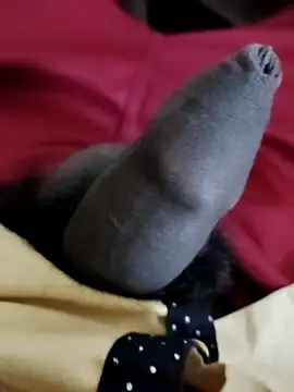 Snapshot of Ashish02345 chatting on December 6, 2024, 6:50 pm Ashish02345 online show from December 6, 2024, 6:50 pm