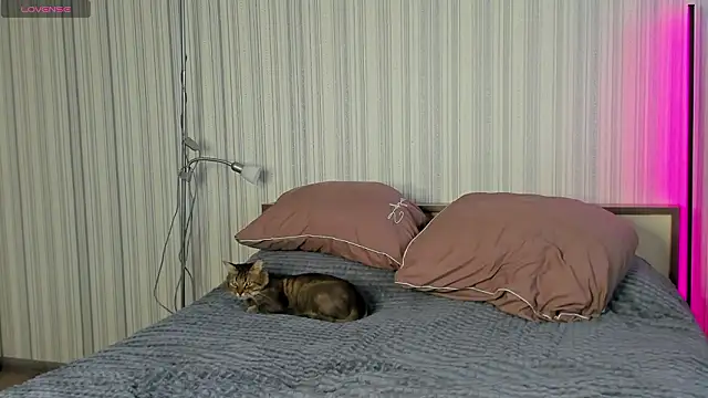 bloomweb online show from February 6, 2026, 8:29 am