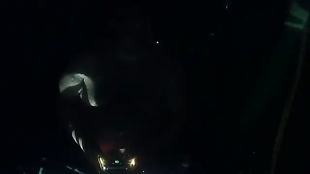 Snapshot of perversalus chatting on March 12, 2026, 5:08 pm perversalus online show from March 12, 2026, 5:08 pm