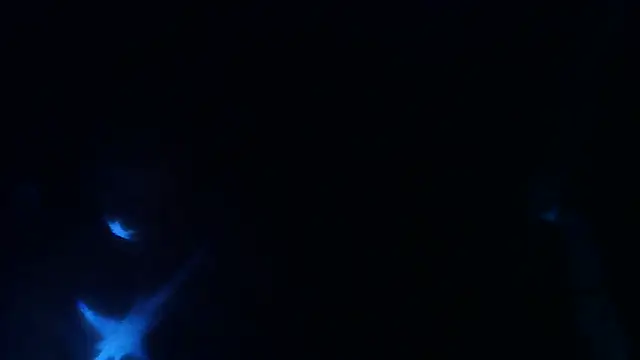 perversalus online show from May 9, 2026, 1:22 am