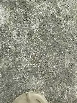 Snapshot of rana_cute chatting on December 22, 2024, 7:22 am rana cute online show from December 22, 2024, 7:22 am