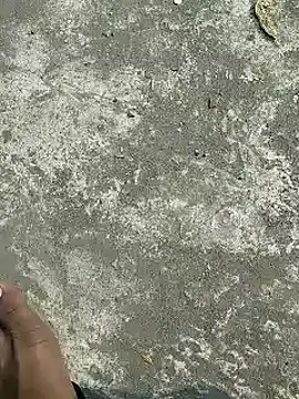 Snapshot of rana_cute chatting on February 5, 2025, 8:21 am rana cute online show from February 5, 2025, 8:21 am