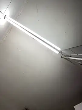 tamarabigass1 online show from October 11, 2025, 6:12 am