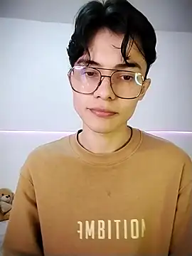 Dmitri Aksnes online show from November 26, 2025, 11:06 pm