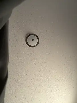 ebonyred online show from December 21, 2025, 2:24 pm