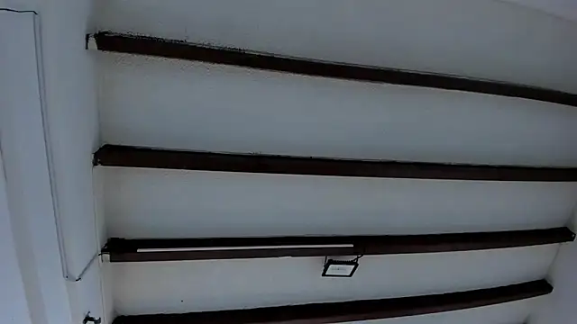 Snapshot of Oriana_Guzman chatting on January 30, 2025, 12:06 pm Oriana Guzman online show from January 30, 2025, 12:06 pm