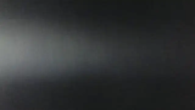 paula torrezz online show from December 28, 2024, 1:08 am