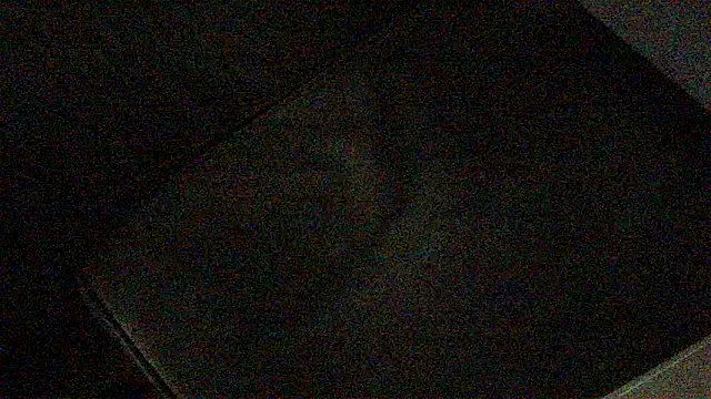 kiksnap-meistro5 online show from February 9, 2026, 8:13 pm