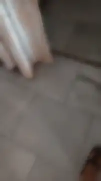 roxym online show from June 9, 2026, 10:49 am