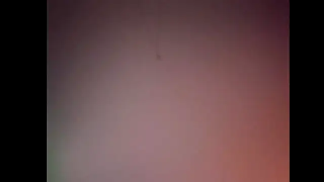 Pegg-fist-me online show from November 28, 2025, 12:02 am