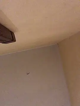 Snapshot of ClatteryPrexy chatting on March 19, 2026, 12:58 am ClatteryPrexy online show from March 19, 2026, 12:58 am