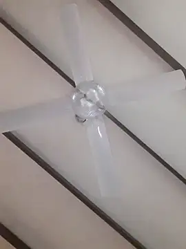 TuBandi2 online show from November 11, 2025, 9:48 pm