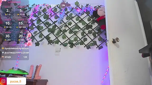 Snapshot of Pucaa_ chatting on December 20, 2024, 4:53 am Pucaa  online show from December 20, 2024, 4:53 am