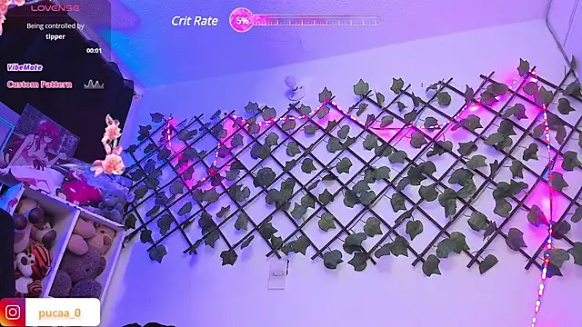 Snapshot of Pucaa_ chatting on January 28, 2025, 12:57 am Pucaa  online show from January 28, 2025, 12:57 am