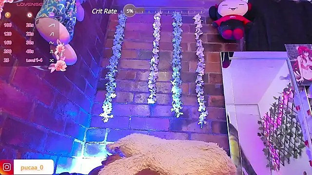 Snapshot of Pucaa_ chatting on January 31, 2025, 4:03 am Pucaa  online show from January 31, 2025, 4:03 am