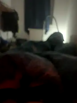 habbockwiesau online show from November 24, 2025, 10:09 pm