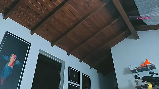 Snapshot of SilvaBranko chatting on March 14, 2026, 12:06 am SilvaBranko online show from March 14, 2026, 12:06 am