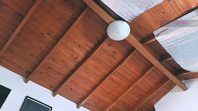 Snapshot of SilvaBranko chatting on March 14, 2026, 8:03 pm SilvaBranko online show from March 14, 2026, 8:03 pm