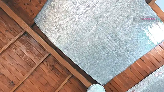 Snapshot of SilvaBranko chatting on March 16, 2026, 12:06 am SilvaBranko online show from March 16, 2026, 12:06 am