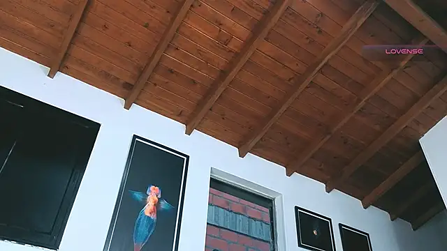 Snapshot of SilvaBranko chatting on March 16, 2026, 11:09 pm SilvaBranko online show from March 16, 2026, 11:09 pm