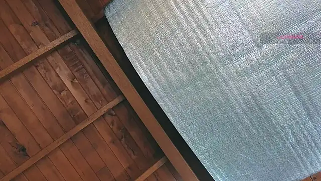 Snapshot of SilvaBranko chatting on March 25, 2026, 10:05 pm SilvaBranko online show from March 25, 2026, 10:05 pm