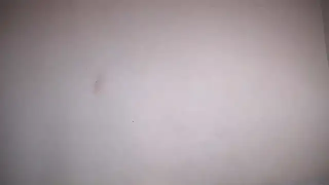 Osiiriis online show from February 12, 2025, 1:06 pm