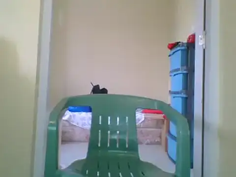 the geisha 2021k online show from January 27, 2025, 12:48 pm