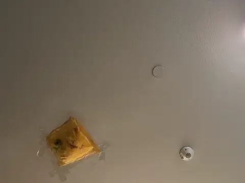 Snapshot of JakTRipr chatting on March 14, 2025, 3:14 pm JakTRipr online show from March 14, 2025, 3:14 pm