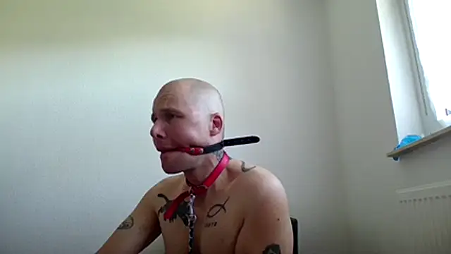 gaywolf426 online show from July 29, 2026, 9:07 am