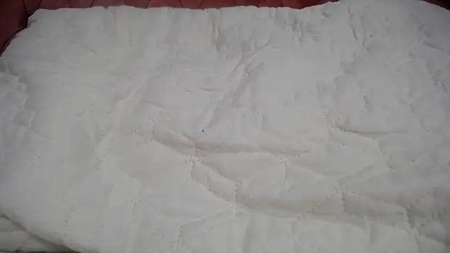 Snapshot of RACHELL__HOT chatting on February 6, 2025, 9:49 pm RACHELL HOT online show from February 6, 2025, 9:49 pm