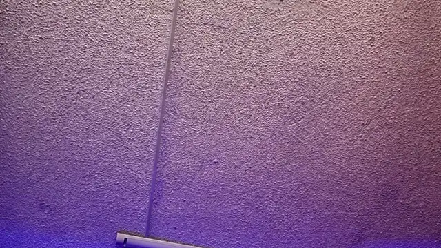 Julieta Russell online show from December 3, 2025, 11:41 am