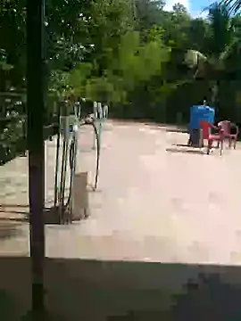 Snapshot of Mafiya1604 chatting on September 25, 2025, 9:46 am Mafiya1604 online show from September 25, 2025, 9:46 am