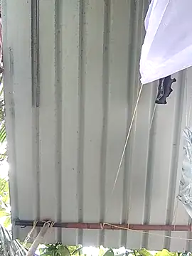 Snapshot of Mafiya1604 chatting on September 27, 2025, 4:17 am Mafiya1604 online show from September 27, 2025, 4:17 am