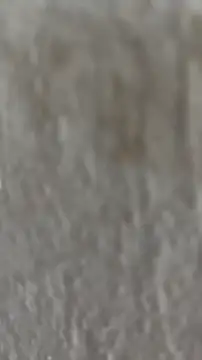 Snapshot of Ishikarana chatting on October 8, 2025, 5:05 am Ishikarana online show from October 8, 2025, 5:05 am