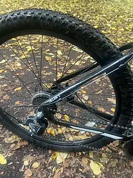 Snapshot of Shyboy817 chatting on October 22, 2025, 2:50 pm Shyboy817 online show from October 22, 2025, 2:50 pm