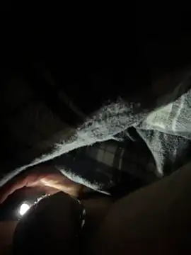 Shyboy817 online show from March 11, 2026, 4:18 am