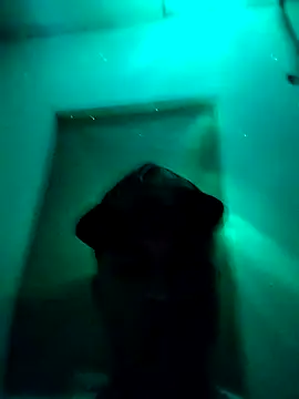 jaycob fox online show from February 21, 2026, 5:41 am