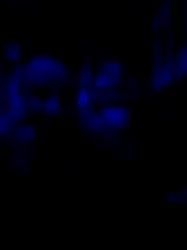 AlphaAlluring69 online show from May 11, 2026, 5:46 am