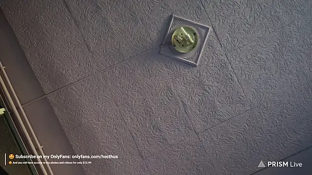 Snapshot of _Hocthus_ chatting on March 17, 2025, 4:01 pm Hocthus online show from March 17, 2025, 4:01 pm