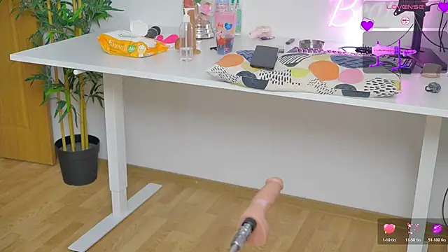 YourBurnWish online show from June 26, 2026, 8:41 am