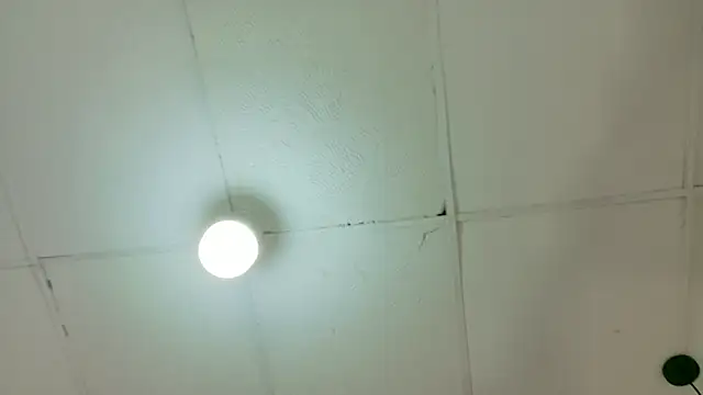 kendalltaylorr online show from March 6, 2026, 4:42 am