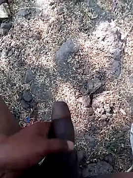 Ajith mvi online show from March 12, 2026, 9:48 am