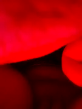 vulgovic  online show from June 5, 2026, 6:52 am