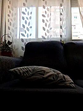 Javier bear online show from July 9, 2026, 12:53 pm